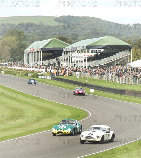 2011 Goodwood Revival Meeting historic sports car racing, Ferrari 250 GTO and AC Cobra at Madgwick Artist: Unknown.