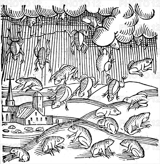 Rain of frogs recorded in 1355 (1557). Artist: Unknown