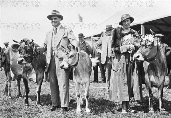 Harold Mackintosh with 2 prize winning cows at an agricultural show, 1932. Artist: Unknown