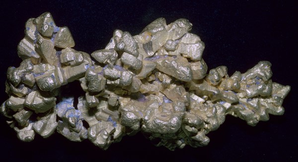 The Latrobe Gold Nugget. Artist: Unknown