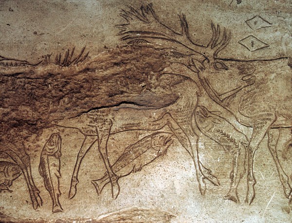 Paleolithic engraved bone with reindeer. Artist: Unknown