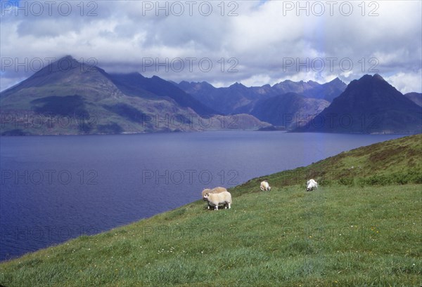 The Black Cuillin and Loch Scavaig near Elgol, Isle of Skye, Scotland, 20th century. Artist: CM Dixon.