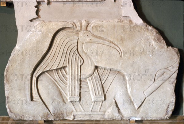 Thoth: Egyptian God: Ibis headed. Vatican. Artist: Unknown.