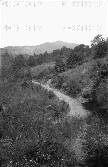 Country path, Appalachia, USA, c1917. Artist: Cecil Sharp