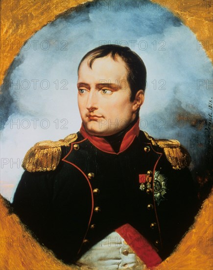 'The Emperor Napoleon I', 1815. Artist: Horace Vernet - Photo12 ...