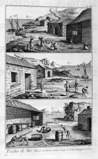 Salting, washing, packing sardines, 1751-1777. Artist: Unknown