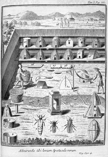 Beekeeping, 1775. Artist: Unknown