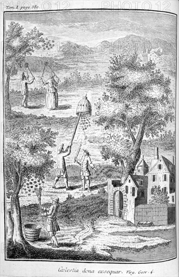 Beekeeping, 1775. Artist: Unknown