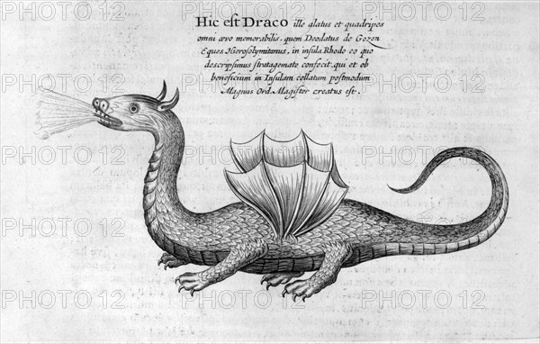 Dragon, 1678. Artist: Athanasius Kircher