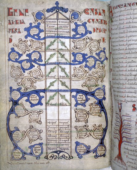 Table of the degrees of Consanguinity, a page from "Liber Floridus", 12th century.   Creator: Unknown.