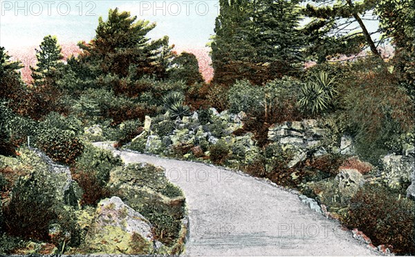 The Rockery, Kew Gardens, Richmond upon Thames, London, 20th Century. Artist: Unknown