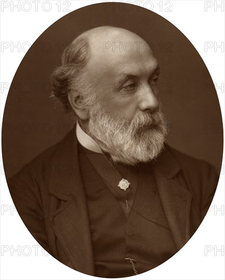 Frederick Richard Pickersgill, artist and Royal Academician, 1882.Artist: Lock & Whitfield