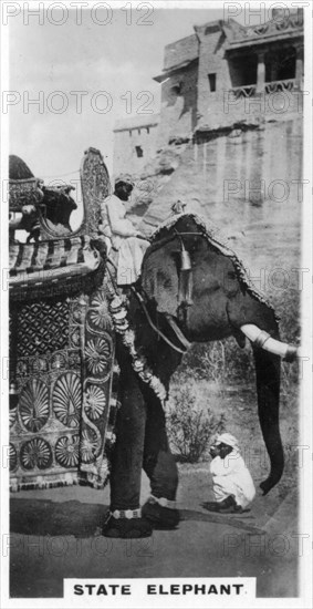 Government elephant in state costume, South India, c1925. Artist: Unknown