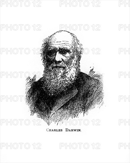 Charles Darwin, 19th century British naturalist, (20th century). Artist: Unknown