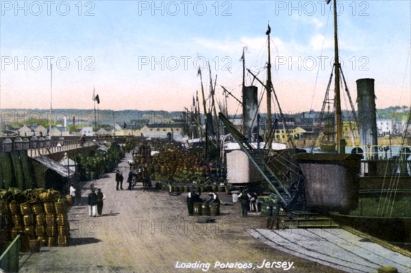 Loading Potatoes, Jersey, 1908. Artist: Unknown