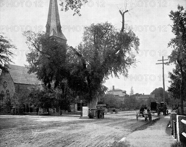 Washington Elm and Memorial Stone, Cambridge, Massachusetts, USA, 1893.Artist: John L Stoddard