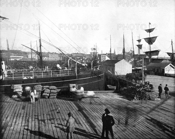 Harbour of Auckland, New Zealand, 1893.Artist: John L Stoddard