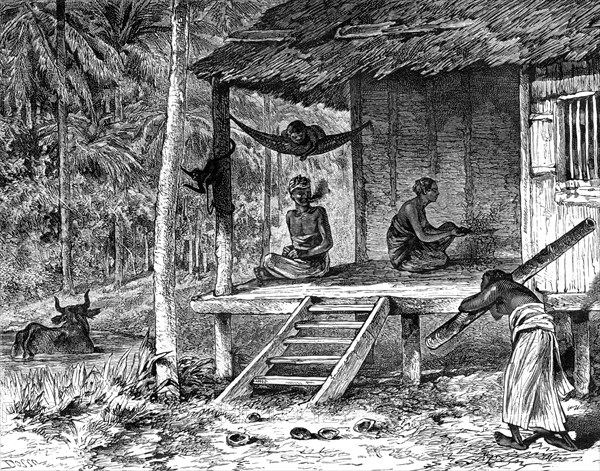 Malaysian hut, 19th century. Artist: Dosso