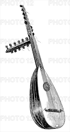 Italian theorbo, 16th century, (1901). Artist: Unknown