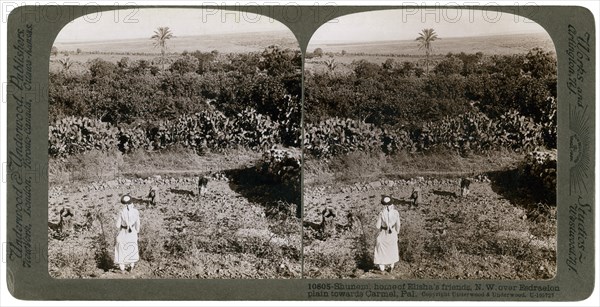 The north-west view from Shunem, across the Plain of Esdraelon, towards Carmel, 1900s.Artist: Underwood & Underwood