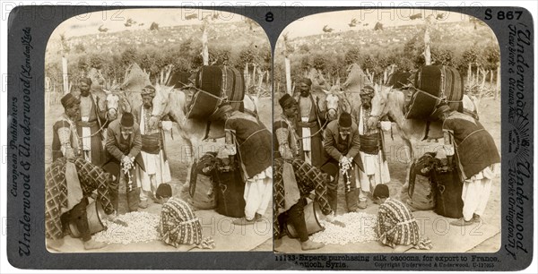 Experts purchasing silk cocoons, for export to France, Antioch, Syria, 1900s.Artist: Underwood & Underwood