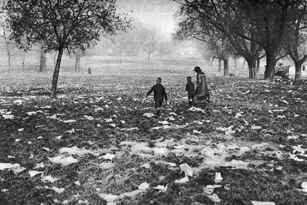 The rubbish left on Hamstead Heath after a bank holiday, London, 1926-1927. Artist: Unknown