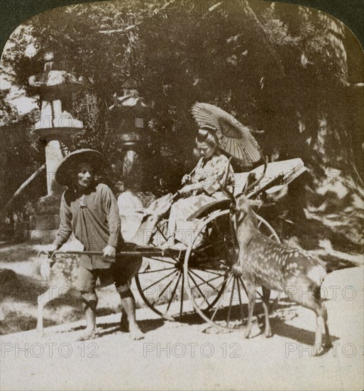 Girl feeding sacred deer on her way to prayers, grounds of Kasuga Temple, Nara, Japan, 1904. Artist: Underwood & Underwood