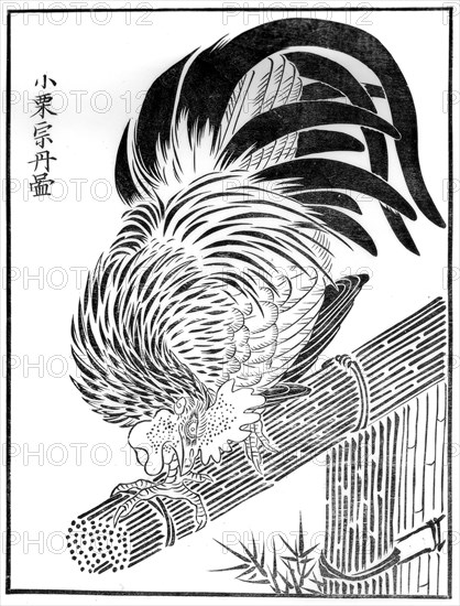 Cock, 15th century (1886). Artist: Unknown