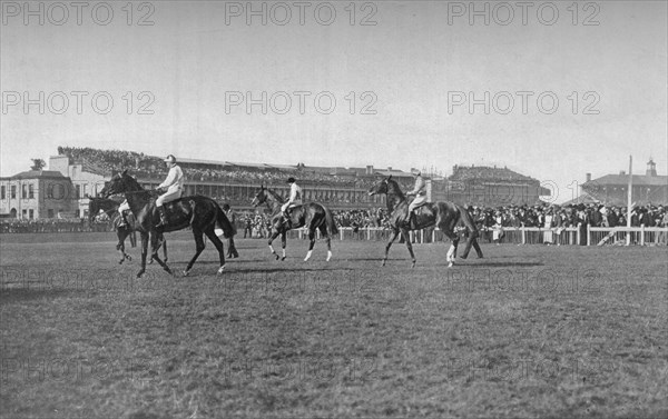 'St. Leger Horses In Front of the Doncaster Stand', c1901, (1903). Artist: WW Rouch.