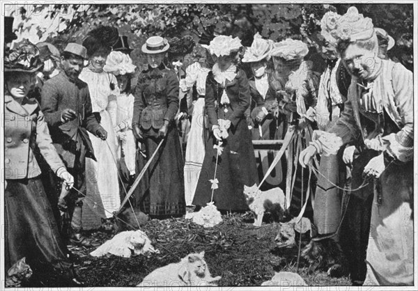 Judging cats at the Royal Botanic Gardens show, Kew, London, c1900 (1901). Artist: Unknown.