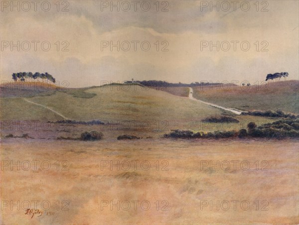 'Chobham Common', 1911, (1914). Artist: James S Ogilvy.