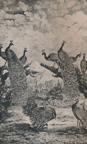 'The Peacocks', 1869, (1946). Artist: Rodolphe Bresdin.