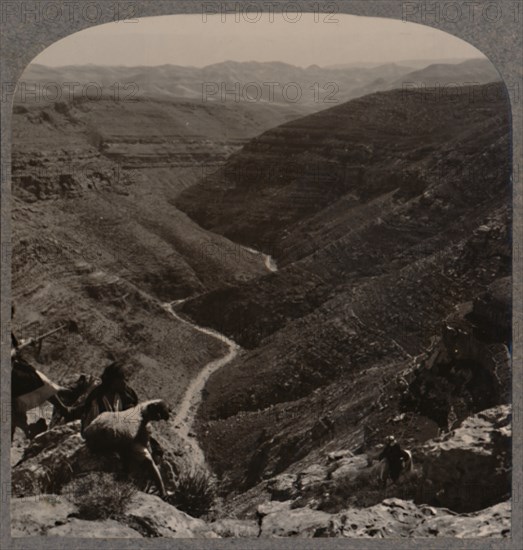 'Valley of the Arno, shepherd and sheep in foreground', c1900. Artist: Unknown.