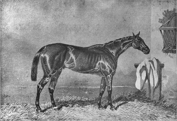 'Ellington', 1853-1870, (1911). Artist: Unknown.