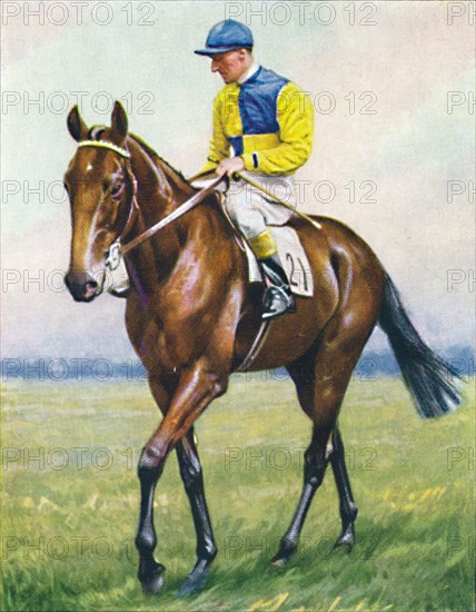 Scottish Union, Jockey