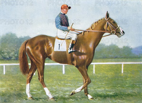 Waterbird, Jockey: E. Smith', 1939. Artist: Unknown.