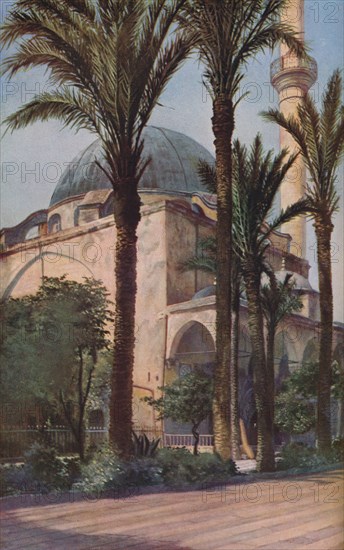 Palestine', c1930s. Artist: Donald McLeish.