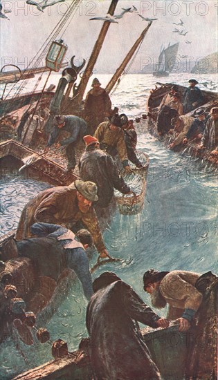 'How We Caught the Pilchards', 1895, (c1902). Creator: Unknown.