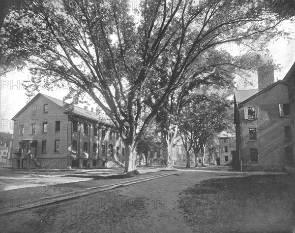 The Reading Hall and Treasury, Yale College, New Haven, Connecticut, USA, c1900.  Creator: Unknown.