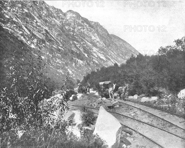 Cottonwood Canyon, Utah, USA, c1900.  Creator: Unknown.