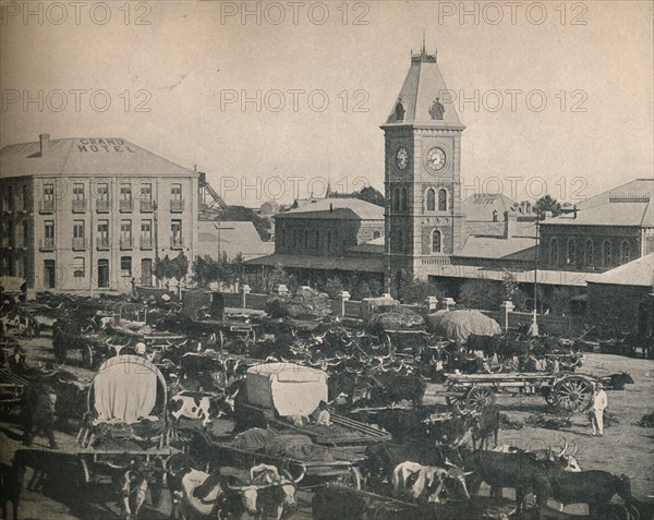 'The Market, Kimberley', c1900. Creator: Unknown.