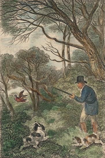 'Woodcock Shooting', 1819. Creator: Samuel Howitt.