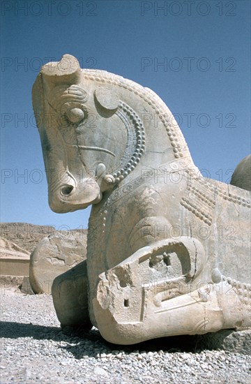 Protome of a horse, the Apadana, Persepolis, Iran