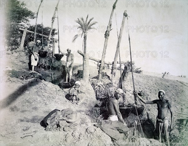 Shadufs in Upper Egypt, late 19th century. Artist: G Lekegian