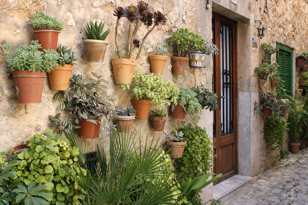 Potted plants on the wall of a house, Valldemossa, Mallorca, Spain.