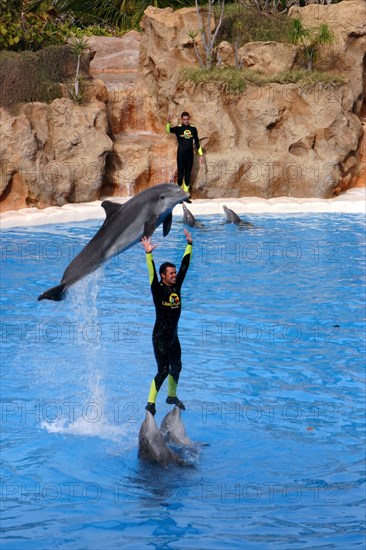 Dolphin show, Loro Parque, Tenerife, Canary Islands, 2007.