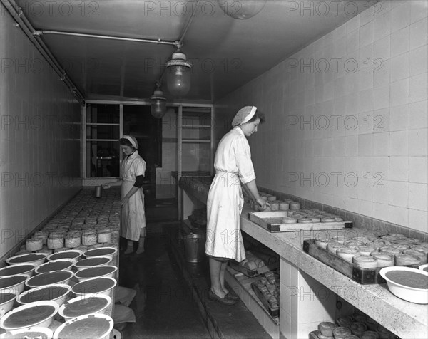 Making pork pies, Schonhut's butchery factory, Rawmarsh, South Yorkshire, 1955. Artist: Michael Walters