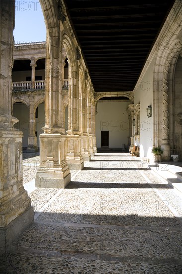 Avellaneda Palace, Penaranda de Duero, Spain, 2007. Artist: Samuel Magal