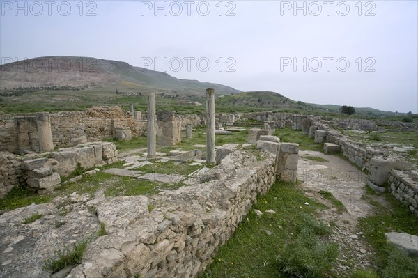 A basilica in Bulla Regia, Tunisia. Artist: Samuel Magal