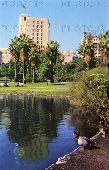 The Elks Club From MacArthur Park, Los Angeles, California, USA, 1953. Artist: Unknown